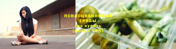 spice Лиски