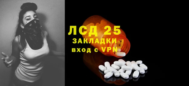 дмт Липки