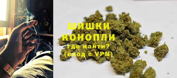 spice Лиски